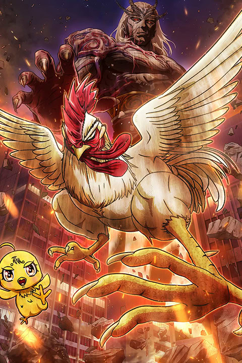 Rooster Fighter