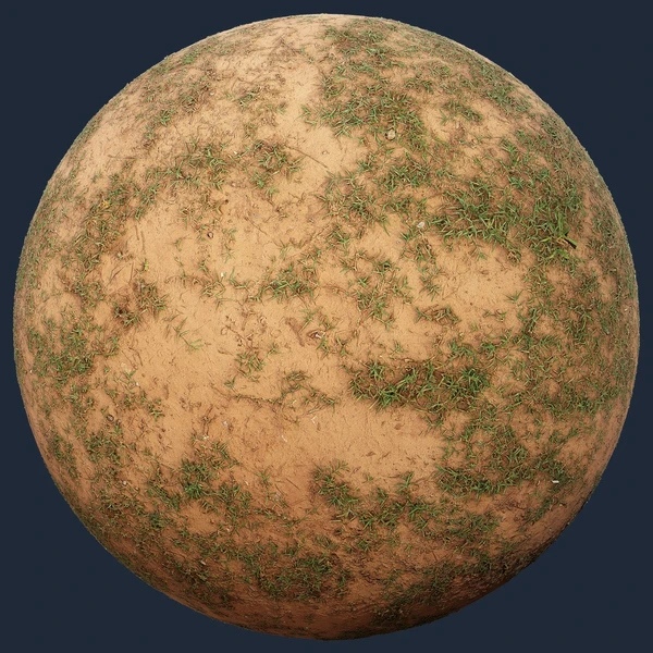 Sparse Grass On Dry Soil