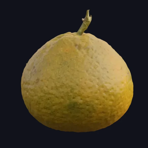 Mandarin 1 - 3D Models - 3D model - from Share Textures