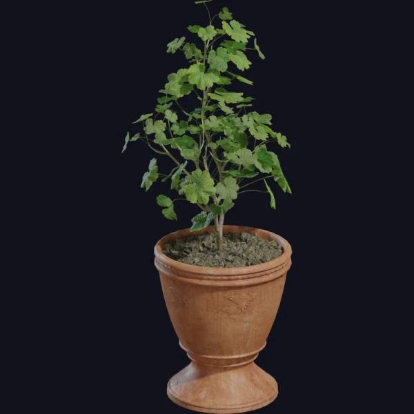 Potted Plant 01 - 3D Models - 3D model - from Poly Haven