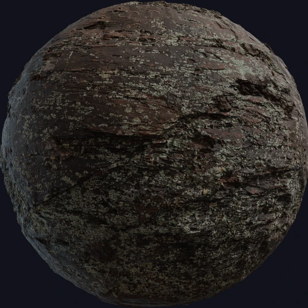 Lichen Rock