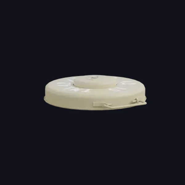 Landmine 4