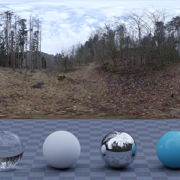 Schachen Forest - HDRI map - from Poly Haven