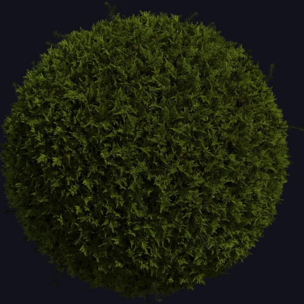 Moss 01 - 3D Models - 3D model - from Poly Haven