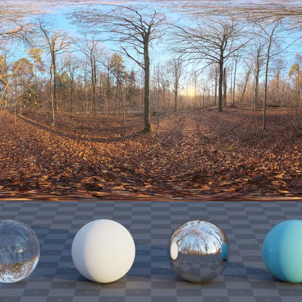 Autumn Forest 04 - HDRI map - from Poly Haven