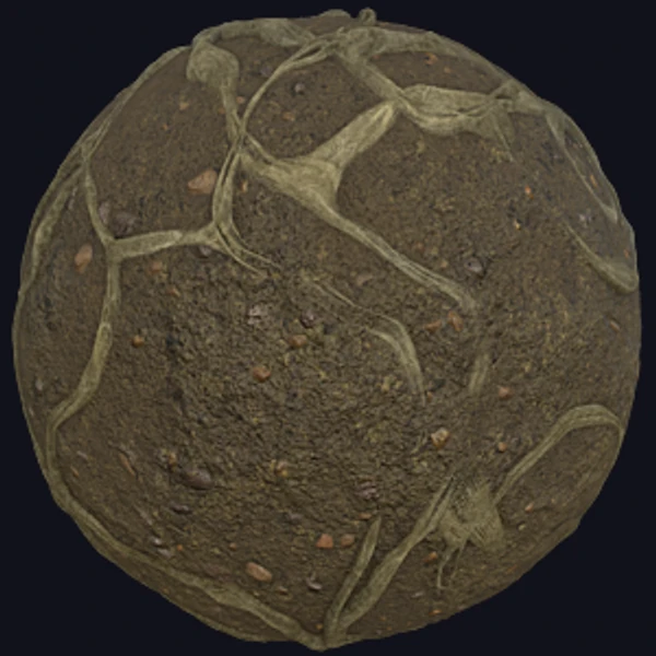 Tree Roots on Muddy Ground (Ground 0044)