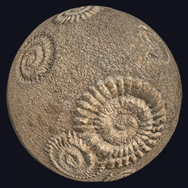 Fossil Rock Texture (Ground 0026)