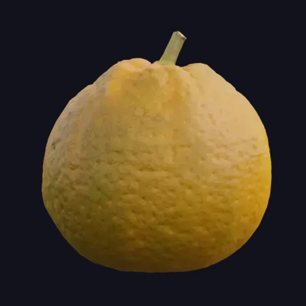 Mandarin 2 - 3D Models - 3D model - from Share Textures