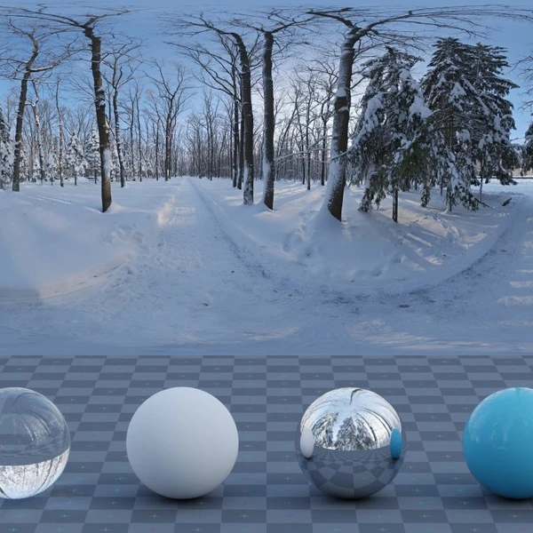 Snowy Forest Path 01