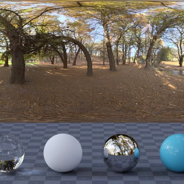 Woods - HDRI map - from Poly Haven