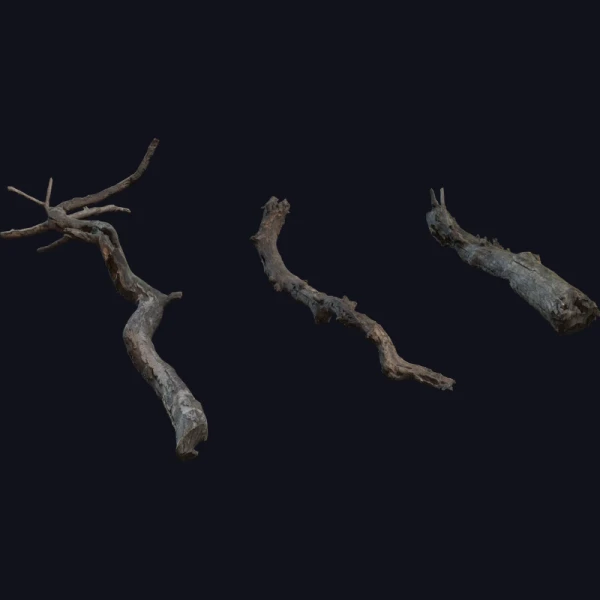 Dry Branches Medium 01 - 3D Models - 3D model - from Poly Haven