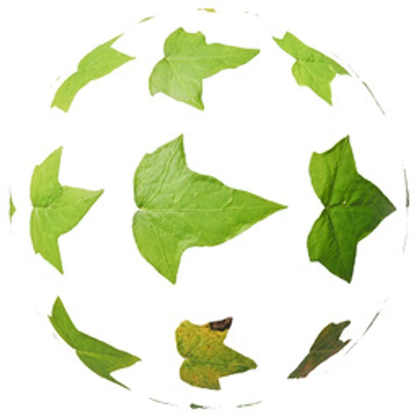 LeafSet 029 - Atlas - PBR texture - from ambientCG