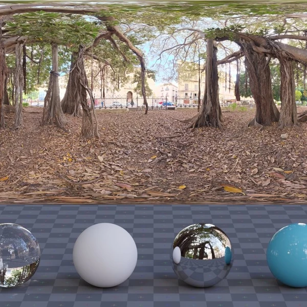 Old Tree In City Park - HDRI map - from Poly Haven
