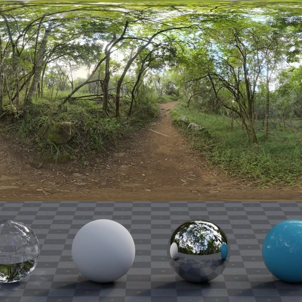 Monks Forest - HDRI map - from Poly Haven