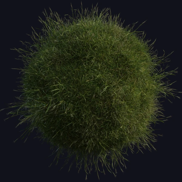 Grass Medium 01 - 3D Models - 3D model - from Poly Haven
