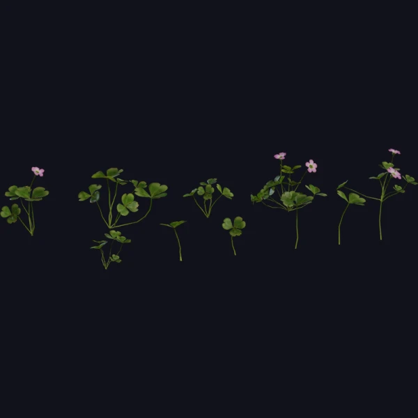 Shrub Sorrel 01 - 3D Models - 3D model - from Poly Haven