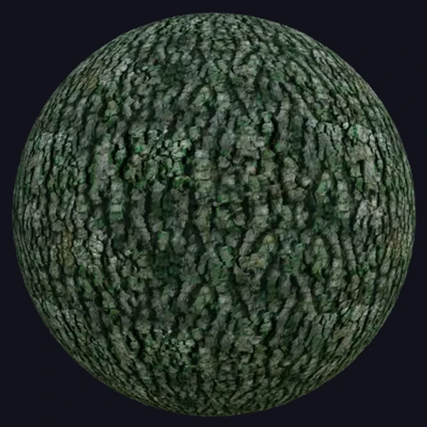 Tree Bark 1