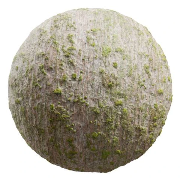 Mossy Bark 01