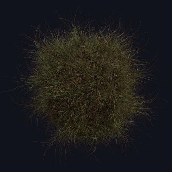 Grass Medium 02 - 3D Models - 3D model - from Poly Haven