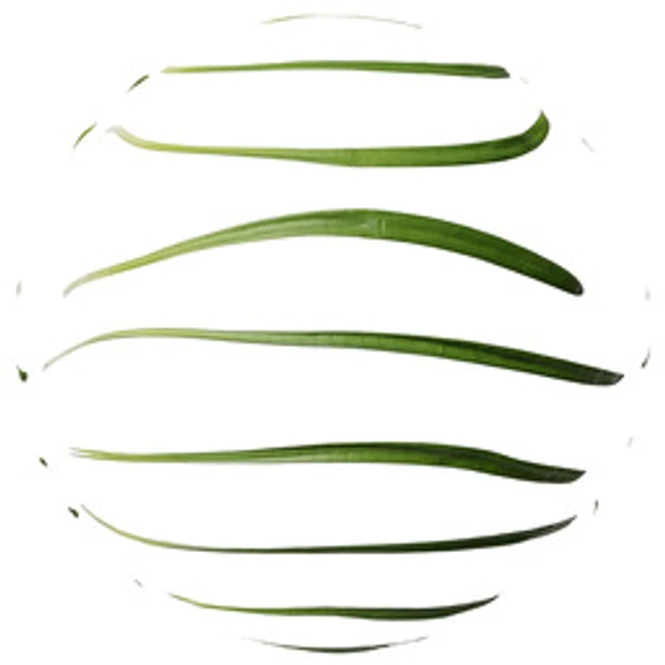 Foliage 008 - Atlas - PBR texture - from ambientCG