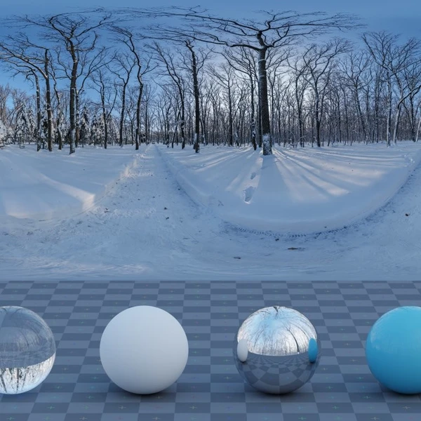 Snowy Forest Path 02 - HDRI map - from Poly Haven