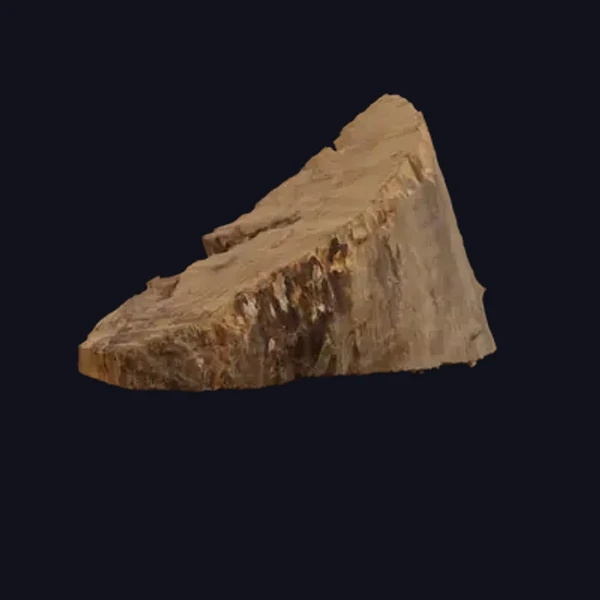 Wood Log 4 - 3D Models - 3D model - from Share Textures