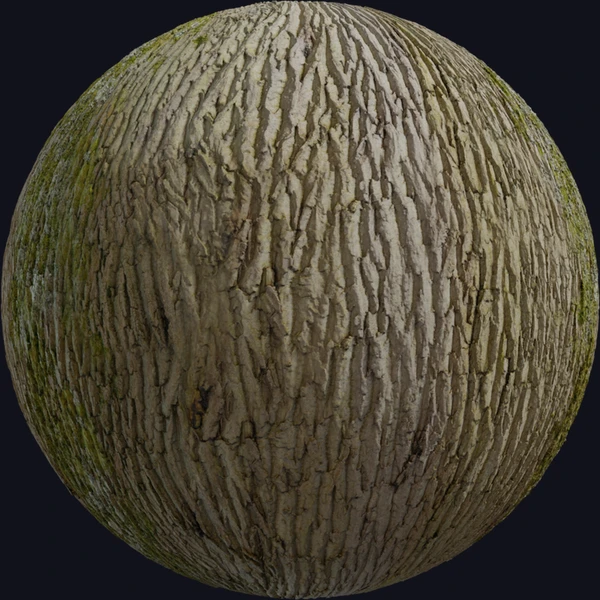Tree Bark 03