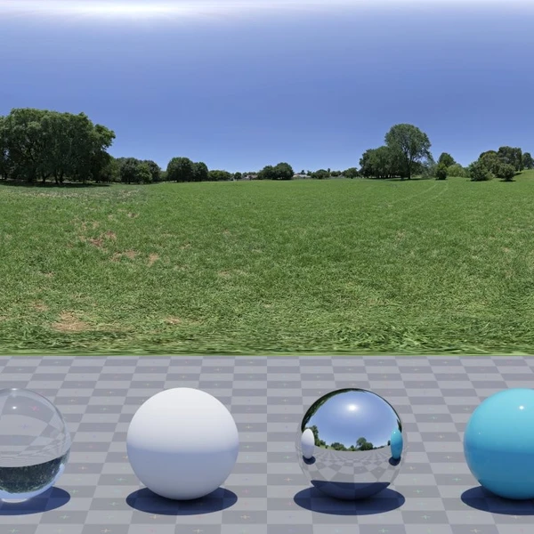 Noon Grass - HDRI map - from Poly Haven