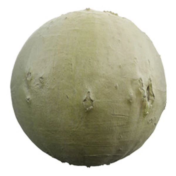 Bark 005