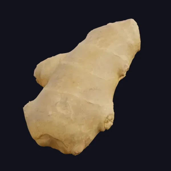 Ginger 1 - 3D Models - 3D model - from Share Textures
