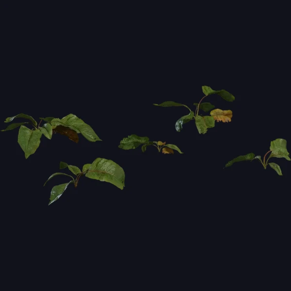 Weed Plant 02