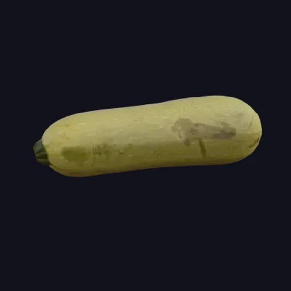 Courgette 1 - 3D Models - 3D model - from Share Textures