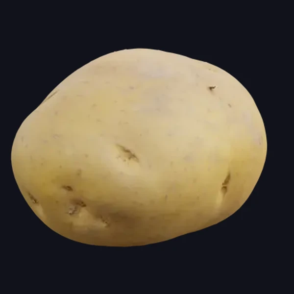 Potatoes 2 - 3D Models - 3D model - from Share Textures