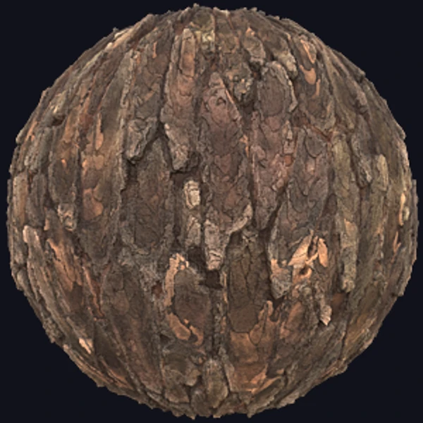 Realistic Tree Trunks or Bark Texture (Wood 0063) - PBR texture - from Texture Can