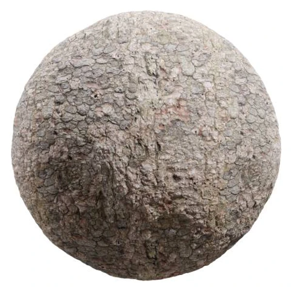 Bark 06