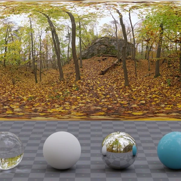 Autumn Forest 01 - HDRI map - from Poly Haven