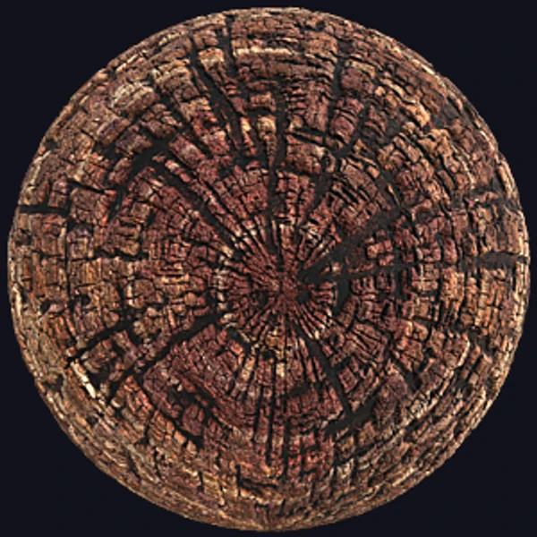 Cross Section of Wood Log Texture (Wood 0065) - PBR texture - from Texture Can