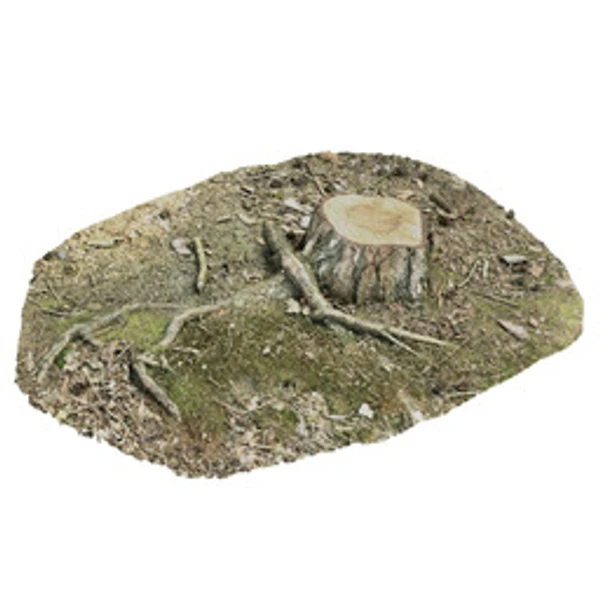 3DTreeStump001 - 3D Models - from ambientCG