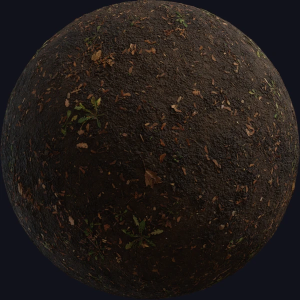 Mud Forest - Floor - PBR texture - from Poly Haven