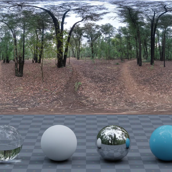 Dark Autumn Forest - HDRI map - from Poly Haven