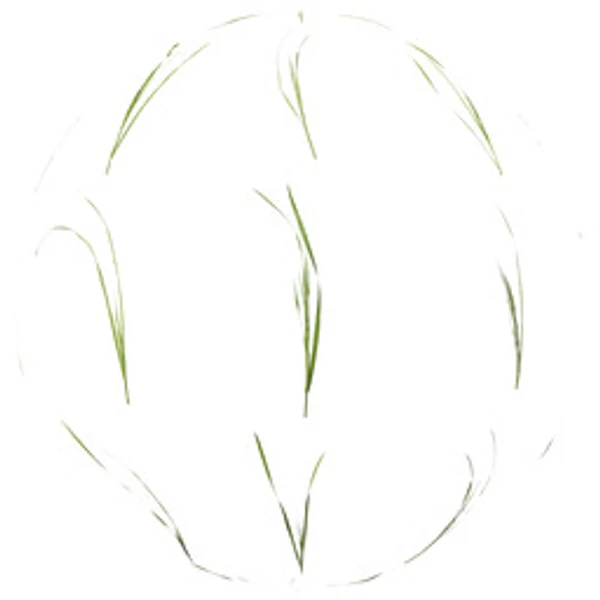 Foliage 007 - Atlas - PBR texture - from ambientCG