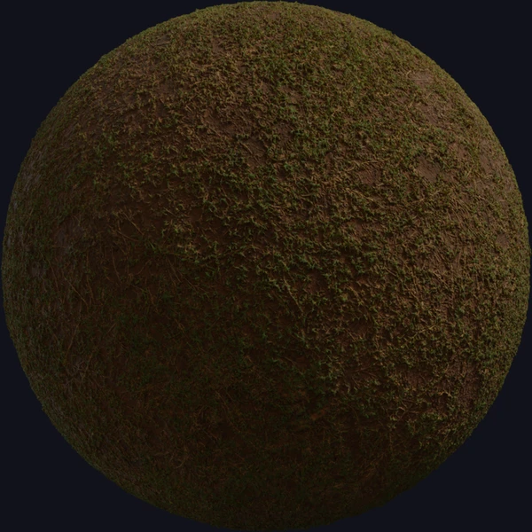 Sparse Grass - Floor - PBR texture - from Poly Haven