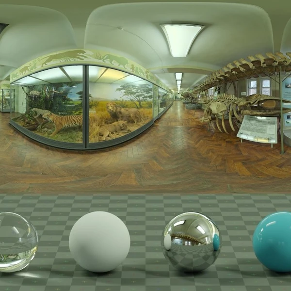 Hall Of Mammals - HDRI map - from Poly Haven