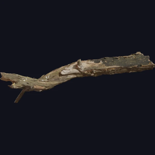 Dead Tree Trunk 02 - 3D Models - 3D model - from Poly Haven