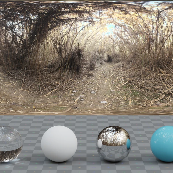 Spooky Bamboo Morning - HDRI map - from Poly Haven