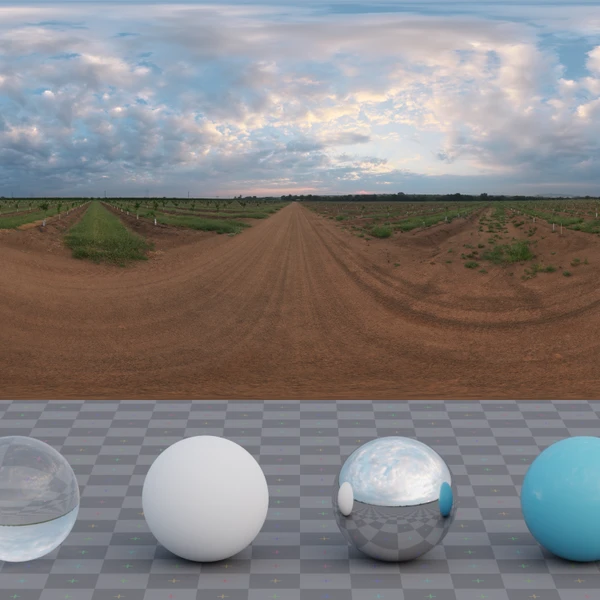 Citrus Orchard Road - HDRI map - from Poly Haven
