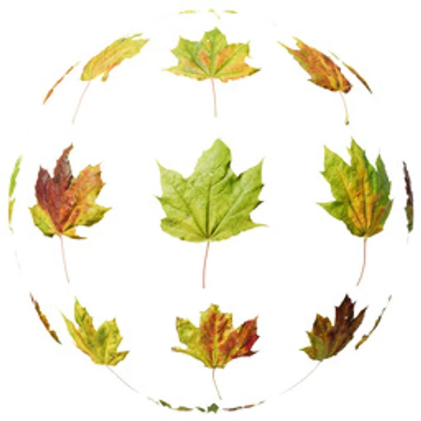 LeafSet 027 - Atlas - PBR texture - from ambientCG