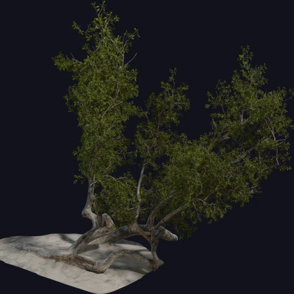 Island Tree 03 - 3D Models - 3D model - from Poly Haven