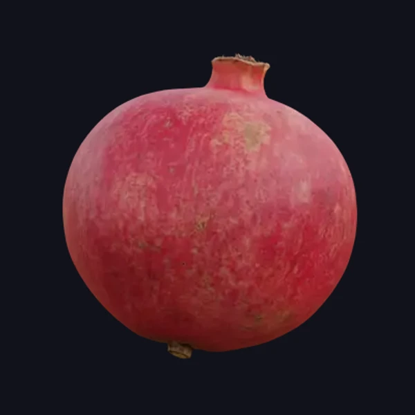 Pomegranate 2 - 3D Models - 3D model - from Share Textures