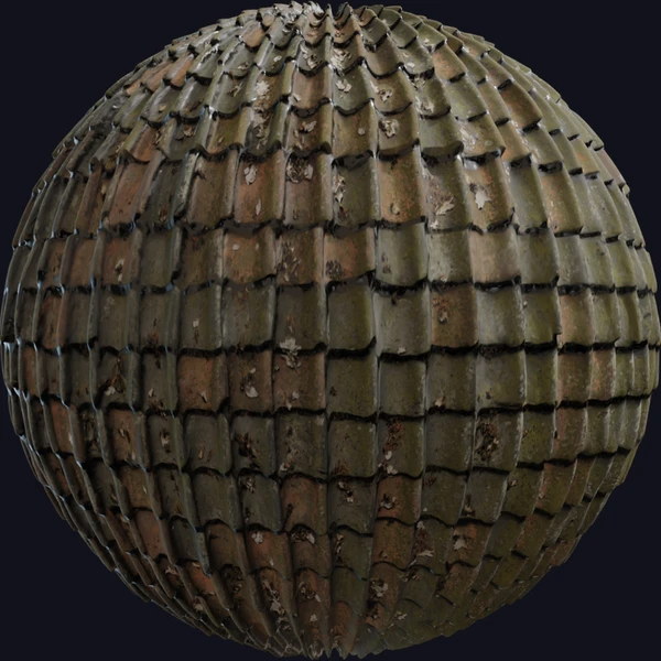Roof 07